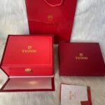 Tudor Box and Papers